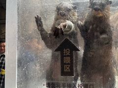 -哈尔滨波塞冬海底世界
