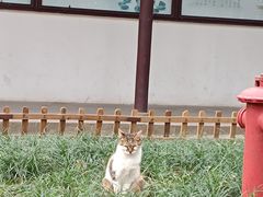 -西园戒幢律寺