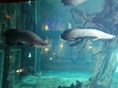 -华夏文旅海洋公园