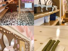 -猫猫幼稚园·撸猫·桌游·电玩