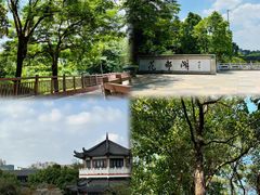 -广东花都湖国家湿地公园