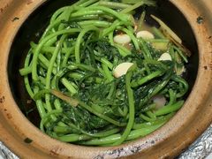 虾酱啫蒿子秆-煲煲好(朝阳门店)