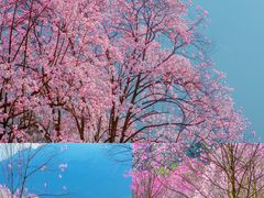 -九皇山景区