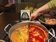 -季季山·云南野生菌火锅(上海首店)