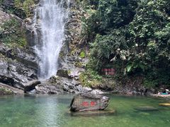-鼎湖山风景区