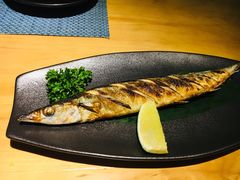 -深蓝金枪·深海鱼刺身(吉大店)