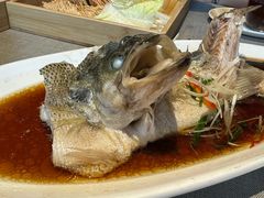 清蒸鲈鱼-有喜胶东小馆(太申祥和店)