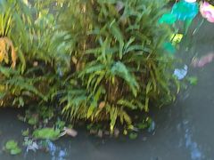 -大妙火锅·非物质文化遗产(东湖公园店)