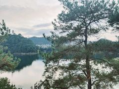 -千岛湖天屿景区