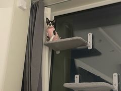 -达爱动物医院·犬猫分区·CT·复杂眼科(远洋山水分院)