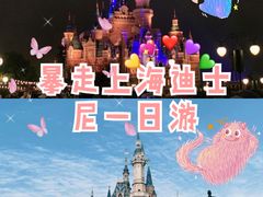 -上海迪士尼度假区