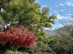 -中国茶叶博物馆(双峰馆区)