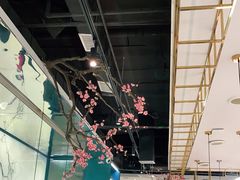 -老板恋上鱼(振华商厦店)