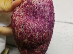 -UH祐禾(光谷世界城店)