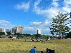 -风云岭森林公园