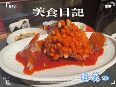 -小厨娘金榜题名(夫子庙秦淮河店)