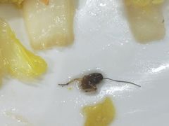 -素清香(解放路店)