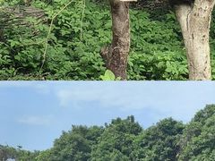 -宁波野生动物园
