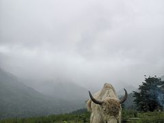 -硗碛藏寨·神木垒景区