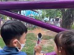 -灵玲国际马戏城
