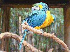 -云南野生动物园