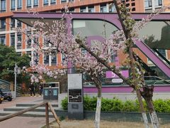 -成都市第一人民医院(南区)