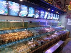 -四海蒸鲜蒸汽海鲜自助(北戴河店)