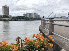 -布里斯班南岸公园