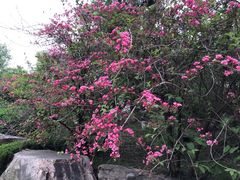 -徐州汉画像石艺术馆