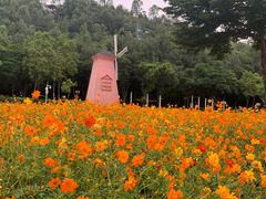 -顺峰山公园