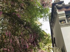 -深圳国际园林花卉博览园