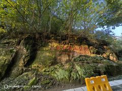 -重庆平顶山公园