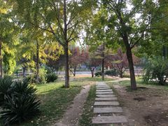 -丰台科技园生态主题公园