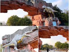 -上海海湾国家森林公园