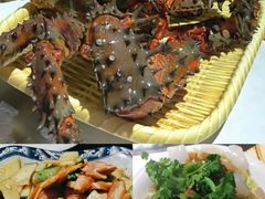 -桃源村铁锅炖鱼(体育馆道店)