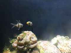 -成都浩海立方海洋公园