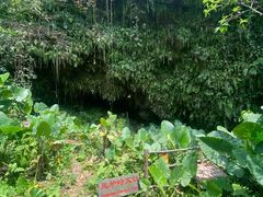-海口火山口国家地质公园
