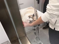 -comecome来吧宠物(奥克斯中心店)