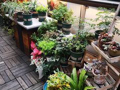 -秋木烤肉·韩国牛肉名家(高新旗舰店)