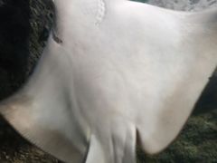 -南昌海洋公园