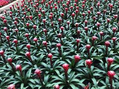 -南山植物园