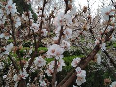 -解放人民公园