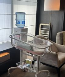-茉莉智慧母婴护理中心(瑰丽店)