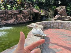 -吉隆坡雀鸟公园