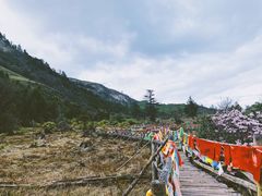 -硗碛藏寨·神木垒景区