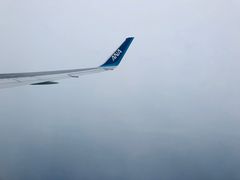-全日本空输株式会社(上海办事处)