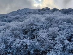 -太子岭滑雪场