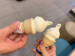 -DQ·蛋糕·冰淇淋(绿宝店)