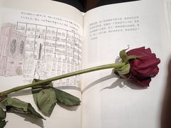 -二酉书店TOYOU BOOKS