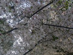 -蠡湖大桥公园